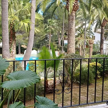 Le Petit Apartment